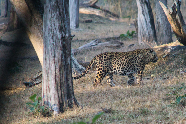 Sony-FE-24-240mm-lens-Sony-a6000-camera-DSC03093