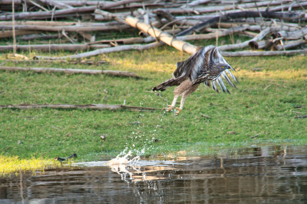 Sony-FE-24-240mm-lens-Sony-a7ii-camera-A7 02360