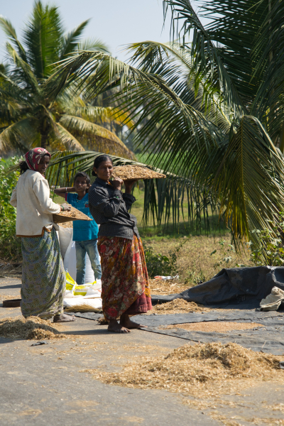 Sony-FE-24-240mm-lens-Sony-a7ii-camera-A7 02813