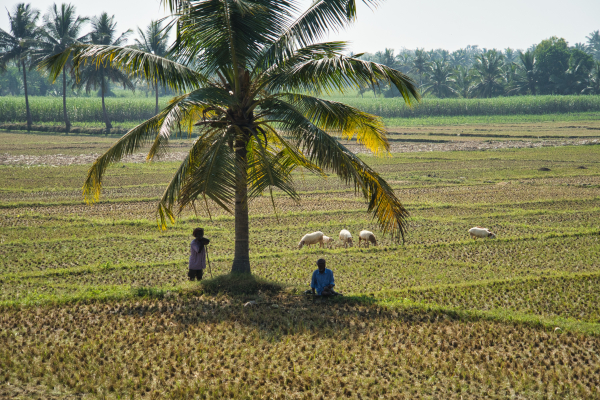 Sony-FE-24-240mm-lens-Sony-a7ii-camera-A7 02882