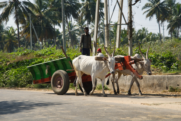 Sony-FE-24-240mm-lens-Sony-a7ii-camera-A7 02888