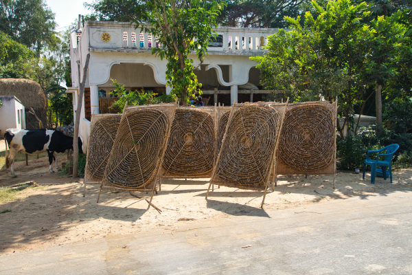 Sony-FE-24-240mm-lens-Sony-a7ii-camera-A7 02891