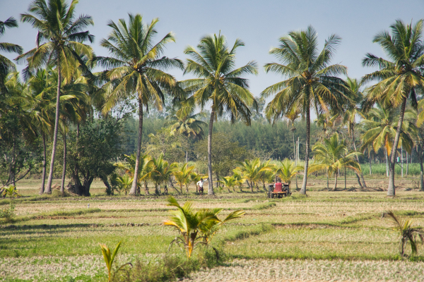 Sony-FE-24-240mm-lens-Sony-a7ii-camera-A7 02918