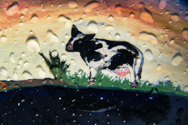 Tamron 17-70mm f2.8 a6-06946