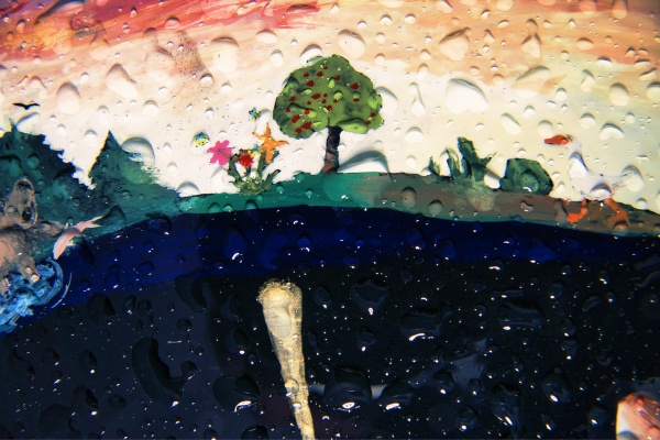 Tamron 17-70mm f2.8 a6-06947