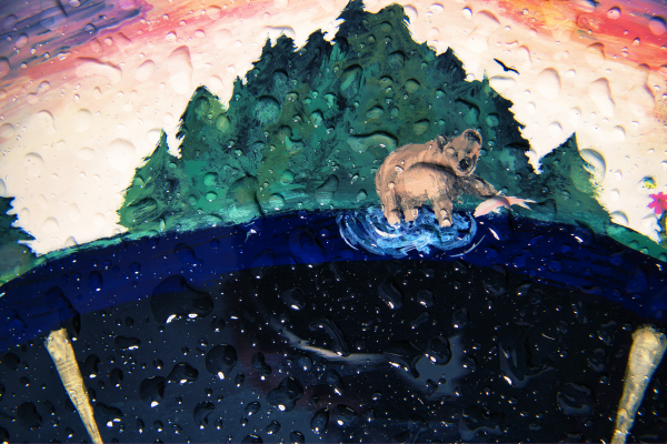 Tamron 17-70mm f2.8 a6-06948