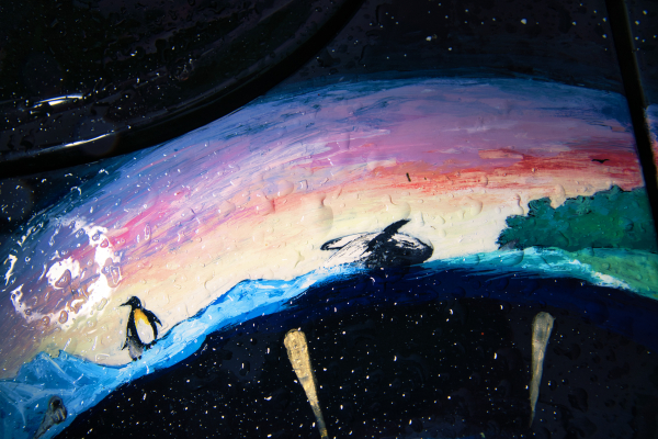 Tamron 17-70mm f2.8 a6-06953