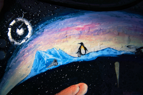 Tamron 17-70mm f2.8 a6-06954